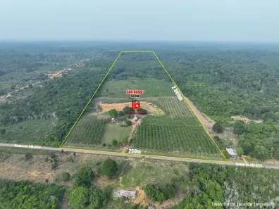 Fazenda/Sítio à venda, 500000m² no Autazes, Autazes