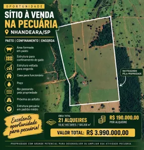 Fazenda/Sítio com 3 Quartos à venda, 508200m² no Centro, Nhandeara