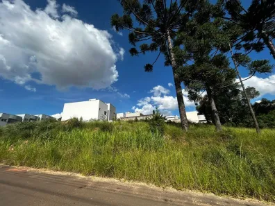 Lote/Terreno à venda, 802m² no Estrela, Ponta Grossa