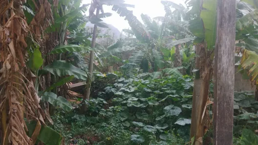 Lote/Terreno à venda, 450m² no Inoã (Inoã), Maricá