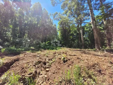 Lote/Terreno à venda, 467m² no Planalto, Morro Reuter