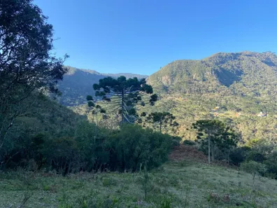 Lote/Terreno com 1 Quarto à venda, 20000m² no , Urubici