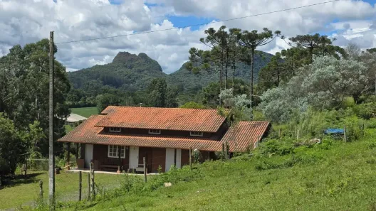 Fazenda/Sítio à venda, 10000m² no , Rio Rufino