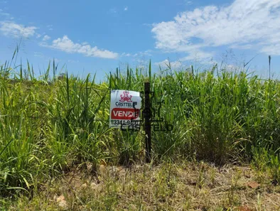 Fazenda/Sítio com 3 Quartos à venda, 16720m² no , Londrina