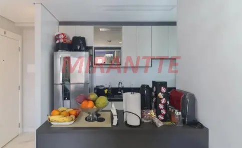 Apartamento com 2 Quartos à venda, 42m² no Vila Guilherme, São Paulo