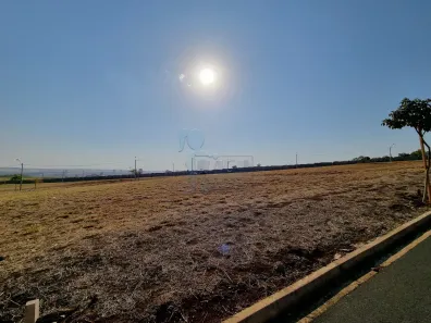 Lote/Terreno à venda, 262m² no Quinta da Primavera, Ribeirão Preto