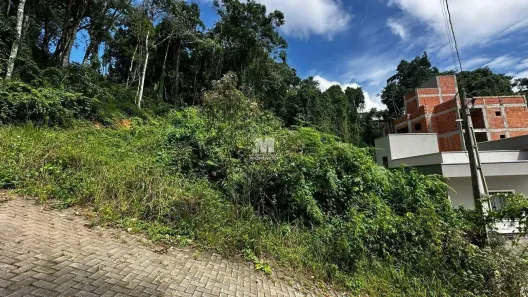 Lote/Terreno à venda, 490m² no Dom Joaquim, Brusque