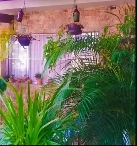 Sobrado com 3 Quartos à venda, 350m² no Vila Carbone, São Paulo