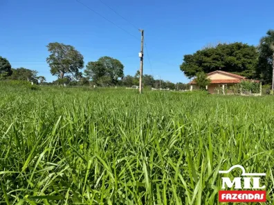 Fazenda/Sítio à venda, 500m² no , Jussara