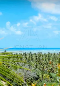 Fazenda/Sítio à venda, 60000m² no , Japaratinga