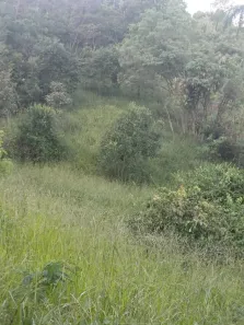 Lote/Terreno à venda, 2000m² no Centro, São José da Lapa
