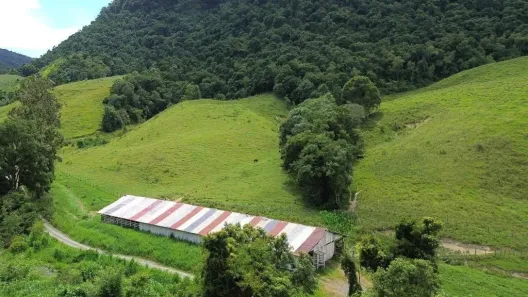 Fazenda/Sítio à venda, 160000m² no , Agrolândia