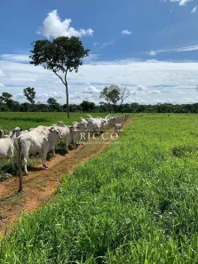 Fazenda/Sítio com 3 Quartos à venda, 200m² no Área Rural de Formosa, Formosa