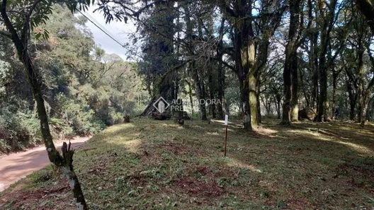 Lote/Terreno à venda, 1397m² no Vila Sao Luiz, Canela