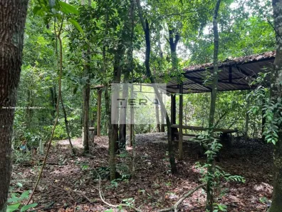 Fazenda/Sítio à venda, 50000m² no Jardim Barcelona, Bela Vista de Goiás