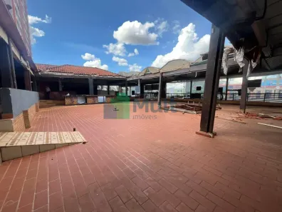 Imóvel Comercial com 1 Quarto para alugar, 900m² no Jardim Califórnia, Ribeirão Preto