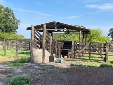 Fazenda/Sítio com 6 Quartos à venda, 1000000m² no , Jangada