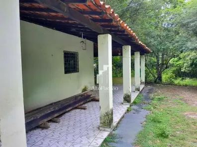 Fazenda/Sítio à venda, 40000m² no , Teresina