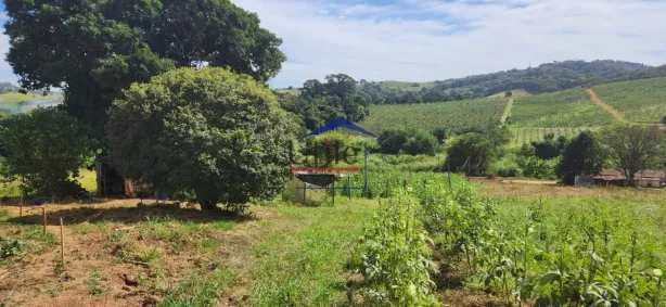 Fazenda/Sítio com 2 Quartos à venda, 81742m² no Morro das Pedras, Valinhos