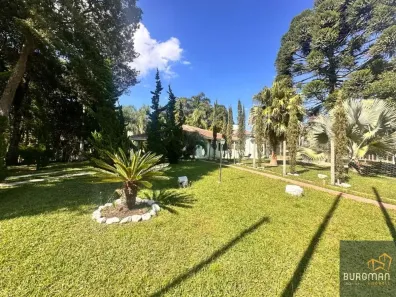 Fazenda/Sítio com 4 Quartos à venda, 220m² no Borda do Campo, São José dos Pinhais