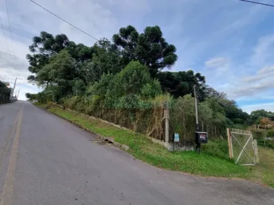 Lote/Terreno à venda, 20413m² no Pedancino, Caxias do Sul