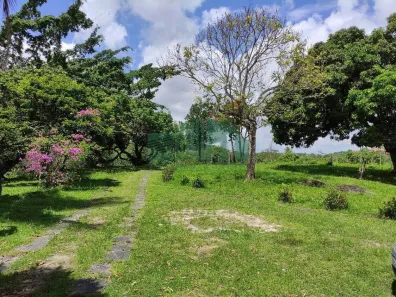 Lote/Terreno à venda, 36600m² no , 