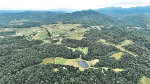 Fazenda/Sítio com 10 Quartos à venda, 1000m² no Rancho Queimado, Rancho Queimado
