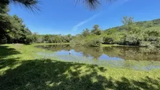 Fazenda/Sítio com 2 Quartos à venda, 116400m² no Nossa Senhora da Conceição, São Sebastião do Caí