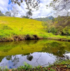 Fazenda/Sítio com 4 Quartos à venda, 193600m² no , Piracaia