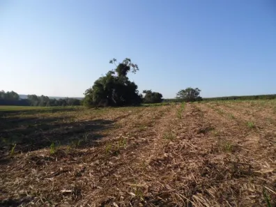 Fazenda/Sítio com 2 Quartos à venda, 1m² no Vila Sao Jose, Conchas