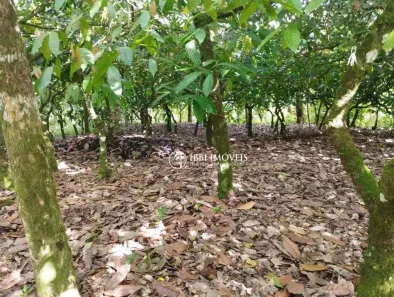 Fazenda/Sítio à venda, 880000m² no , Camamu