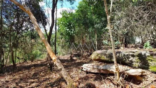 Lote/Terreno à venda, 1000m² no Vila Alpina, Nova Lima
