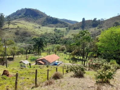 Fazenda/Sítio com 2 Quartos à venda, 108900m² no Centro, Ribeirão Grande