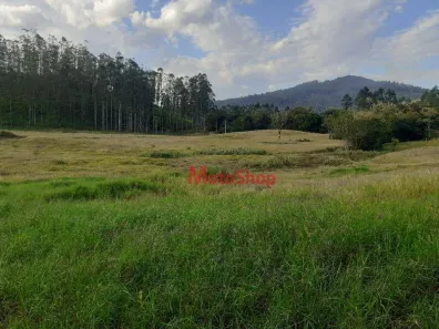 Lote/Terreno à venda, 960000m² no Centro, Morro Grande