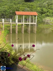 Fazenda/Sítio com 3 Quartos à venda, 22m² no , Fazenda Nova