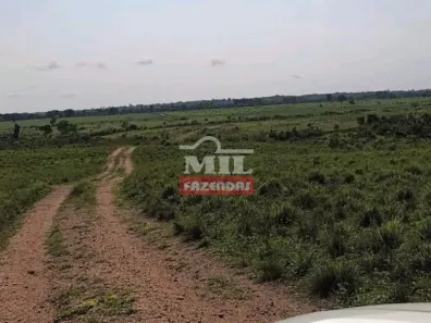 Fazenda/Sítio à venda, 20000m² no , Colinas do Tocantins