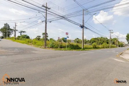 Lote/Terreno com 1 Quarto para alugar, 6070m² no Boneca do Iguaçu, São José dos Pinhais
