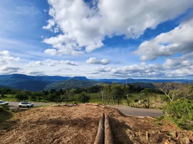 Imóvel Comercial à venda, 24900m² no Carahá, Gramado