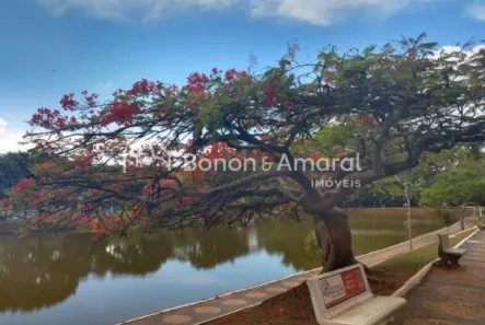 Lote/Terreno à venda, 250m² no Jardim Fortaleza, Paulínia