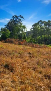 Lote/Terreno à venda, 1677m² no Jardim Colônia, Jundiaí