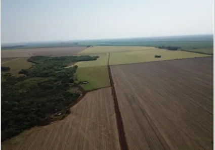 Fazenda/Sítio com 3 Quartos à venda, 820000000m² no Centro, Maracaju