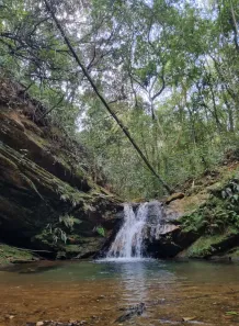 Fazenda/Sítio com 4 Quartos à venda, 59000m² no , Rio Acima