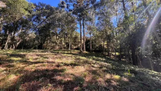 Lote/Terreno à venda, 1660m² no , Campo Alegre