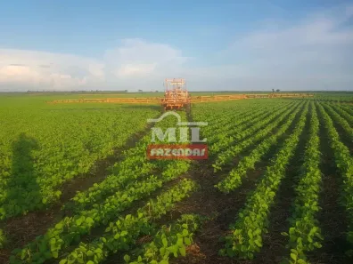 Fazenda/Sítio à venda, 500m² no , Dueré