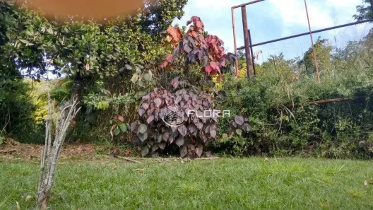 Lote/Terreno à venda, 30000m² no Piratininga, Niterói