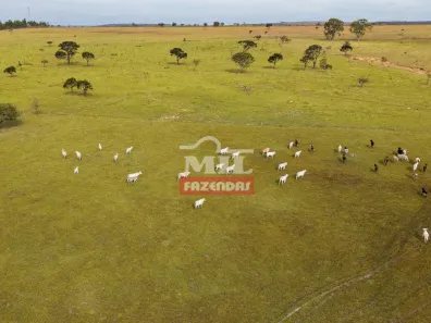 Fazenda/Sítio à venda, 1m² no , Corumbá de Goiás
