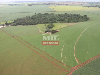 Fazenda/Sítio à venda, 1m² no Municipal, Quirinópolis