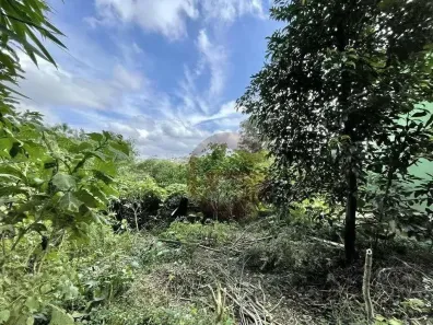 Lote/Terreno à venda, 907m² no Vila Santo Antônio, Cotia