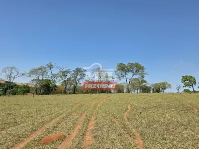 Fazenda/Sítio à venda, 1m² no , Corumbá de Goiás