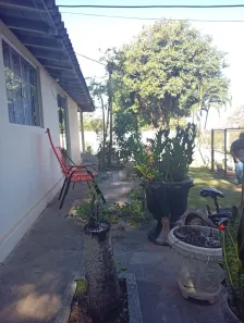Fazenda/Sítio com 5 Quartos à venda, 300m² no Santa Casa, Mirassol